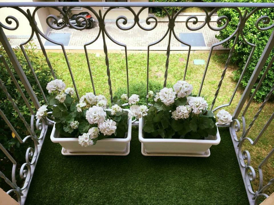 L'orchidea * Turin